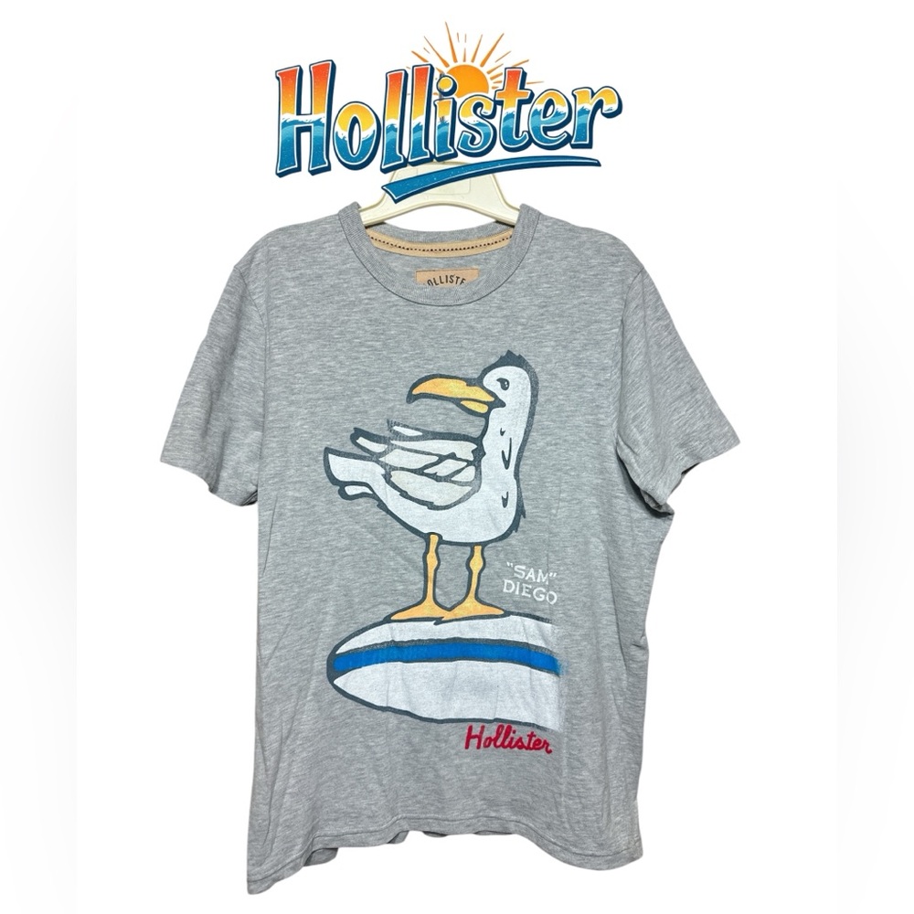 Gray Hollister T-Shirt with Seagull Print